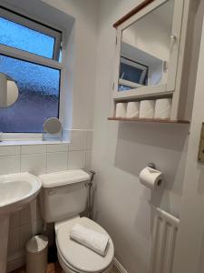 un bagno con un water, un lavandino e una finestra di The Cotton Mill Hideaway a Manchester Altre 25 foto