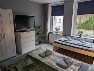 a bedroom with two beds and a flat screen tv at Flensburg Strandnah in Flensburg