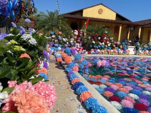 Fotografie z fotogalerie ubytování Wings Ha Giang Loop Bungalow v destinaci Ha Giang + 107 fotografií