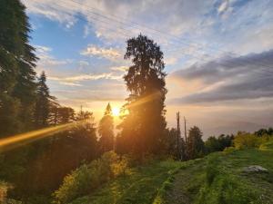 a tree on a hill with the sunset in the background at SmartHill Bloom-Mountain View in Dalhousie