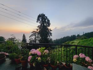 Un balcón lleno de muchas plantas y flores. en SmartHill Bloom-Mountain View, en Dalhousie