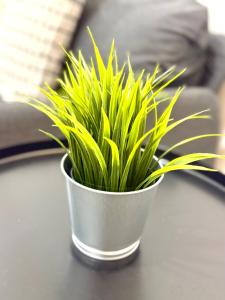 a plant in a metal pot on a table at 7 STAY#3 - 1 Room for 2 Pax at Kuala Berang -Best Travelers Stay in Kuala Berang