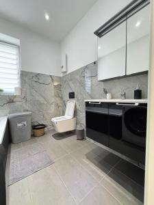 a bathroom with a sink and a toilet in it at Apartament Bors in Ribnitz-Damgarten