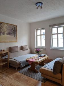 a living room with a couch and a table at Gemütliche zentrale Wohnung in Eisenach