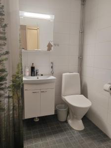 un bagno con un water, un lavandino e uno specchio di Pikku-Kassu a Hämeenlinna