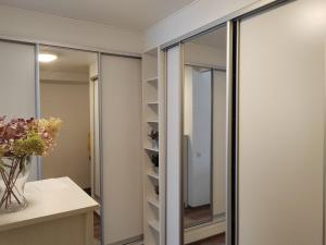 una cabina armadio con porte e scaffali in vetro di Pikku-Kassu a Hämeenlinna