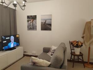 un soggiorno con divano e TV a schermo piatto di Pikku-Kassu a Hämeenlinna