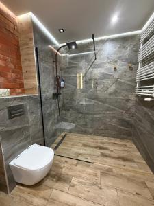 une salle de bain avec douche avec WC et cabine de douche en verre dans l'établissement Apartament 8, à Łobez 1 autre photo