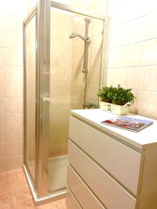 La salle de bains est pourvue d'une douche et d'un comptoir avec un lavabo. dans l'établissement CA' DEL SOLE - Attico Panoramico in Centro Storico, à Montagnana