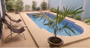 een plant in een pot naast een stoel en een zwembad bij Villa - Ngaparou, Sénégal in Ngaparou