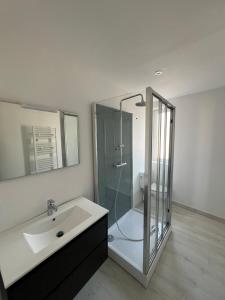 阿拉斯La Coloc'的带玻璃淋浴和水槽的浴室