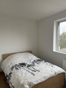 阿拉斯La Coloc'的带窗户的白色房间里的一张床