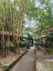 Zahrada ubytování Blissful Garden Chalet Langkawi