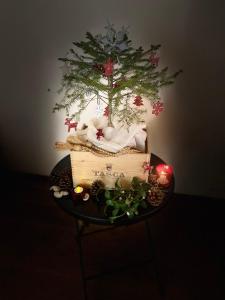 Fotografie z fotogalerie ubytování Les Remparts v destinaci Caudiès-de-Fenouillèdes