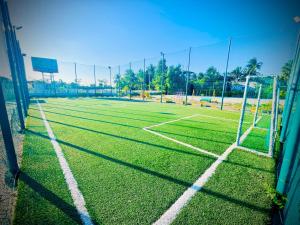 Tenis a/nebo squash v ubytování Gatorgetaway inn nebo okolí