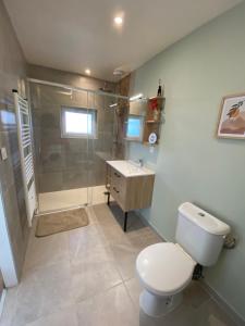 une salle de bain avec toilettes, douche et lavabo dans l'établissement COSY Dépendance proche Saint- Émilion, à Le Fieu 4 autres photos