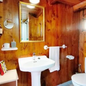 a bathroom with a sink and a mirror and a toilet at Cabaña de Madera el Roserar Parque Natural de Montseny in Montseny