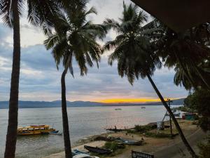 Příroda nedaleko farmy