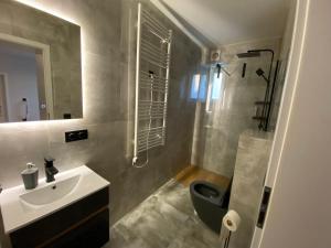 a bathroom with a sink and a toilet and a shower at MIESZKANIE APRTEMNT DO WYNAJECIA na doby Bolesławiec in Bolesławiec