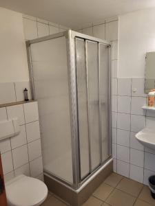 Un baño con ducha, inodoro y lavabo. en Hotel M Jacobs GmbH, en Gummersbach