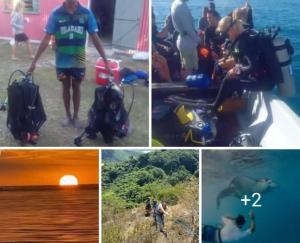 Fotografie z fotogalerie ubytování Nenas Homestay 