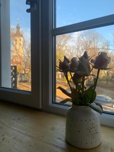 Fotografie z fotogalerie ubytování Royal Kamianets Apartment , центр Старого міста , 100м до Ратуші , вид на сквер та історичний центр v destinaci Kamenec Podolský