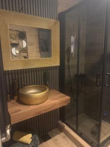 科帕奥尼克Аpartman 511 Zupa的浴室里有一个玻璃淋浴房，架子上放着一个马桶。