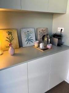 Η κουζίνα ή μικρή κουζίνα στο La Roseraie +7 φωτογραφίες