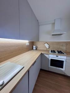 Η κουζίνα ή μικρή κουζίνα στο Apartmán Sever +2 φωτογραφίες