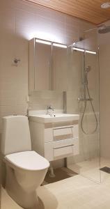 ein Badezimmer mit Toilette, Dusche und Waschbecken in der Unterkunft Arctic Luxury Home in Rovaniemi