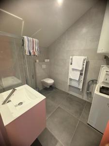 Koupelna v ubytování Gîte 4 personnes tout équipé à Anzy-le-Duc