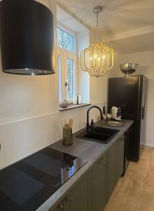 a kitchen with a sink and a black refrigerator at Break Time Holidays Königsee, ein Juwel im Thüringer Wald in Niederdorla