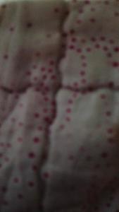 Imagen de la galería de Hcgdhxch, en Nueva Loja