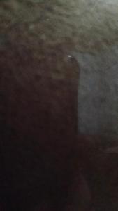 Imagen de la galería de Hcgdhxch, en Nueva Loja