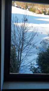 a window with a view of a snow covered field at Gościniec, kwatery prywatne przy stoku w Zieleńcu in Duszniki Zdrój +2 photos