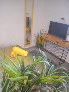 Μια τηλεόραση ή/και κέντρο ψυχαγωγίας στο דור +1 φωτογραφίες