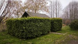 a large bush in front of a house at Jaunrūtiņas dīķis in Salaspils