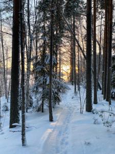 a snow covered path through a forest with trees at Two bedroom duplex with peaceful views in Jyväskylä