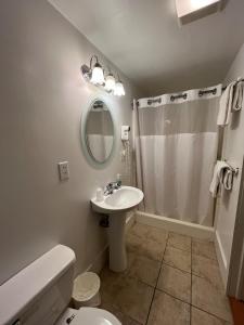 哈蒙兹波特Gulf Stream House - Hammondsport Getaway Apartment Unit 11的带水槽、马桶和淋浴的浴室