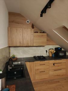 Η κουζίνα ή μικρή κουζίνα στο Apartament na Poddaszu +8 φωτογραφίες
