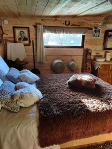 a bedroom with a bed with pillows and a window at La Cabane du Trappeur in La Bourgonce