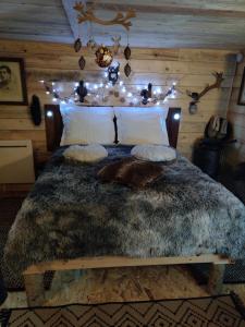 a bedroom with a large bed with lights on it at La Cabane du Trappeur in La Bourgonce
