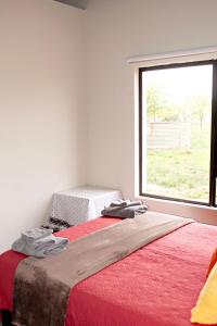 Un dormitorio con una cama con una ventana grande. en Pecan and Lime Inn The Third Den, en Pretoria