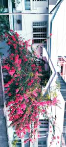 El edificio en el que está la casa de huéspedes