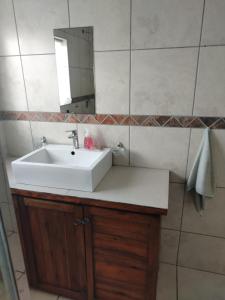 ein Badezimmer mit einem weißen Waschbecken und einem Spiegel in der Unterkunft Ocean Nook in Gqeberha