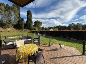 Ein Hund steht auf einer Terrasse mit Tisch und Stühlen. in der Unterkunft Mini House Reserva Natural in Guarne