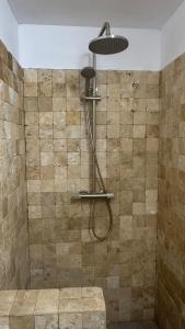 Ένα μπάνιο στο Pensiunea Poiana Izvoarelor +150 φωτογραφίες