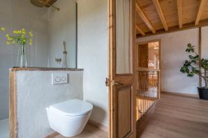une salle de bain avec toilettes dans une chambre dans l'établissement Casona Azul Llue - Asturias Vacations, à Colunga 80 autres photos