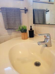 a bathroom sink with a faucet and a plant on it at Secret Wellness Lonneker in Enschede