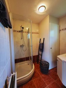 a bathroom with a shower and a bath tub at Secret Wellness Lonneker in Enschede